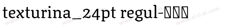 texturina_24pt regul字体转换 texturina_24pt regul字体转换